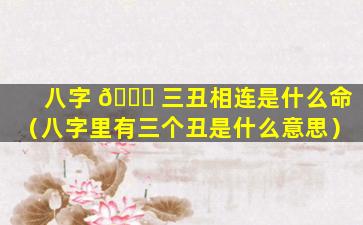八字 🐘 三丑相连是什么命（八字里有三个丑是什么意思）
